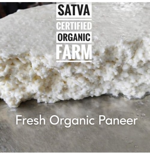 *Paneer - Plain  (200gms, satva)